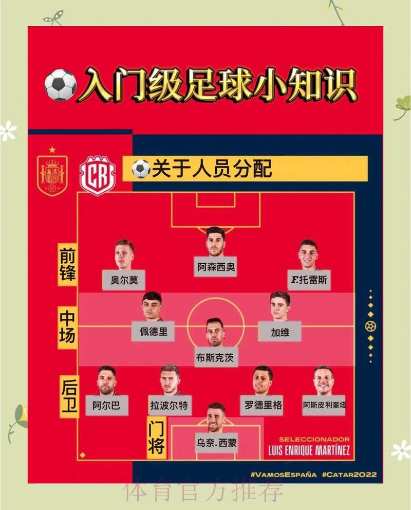 世界杯投注新手速成指南：入门技巧全解